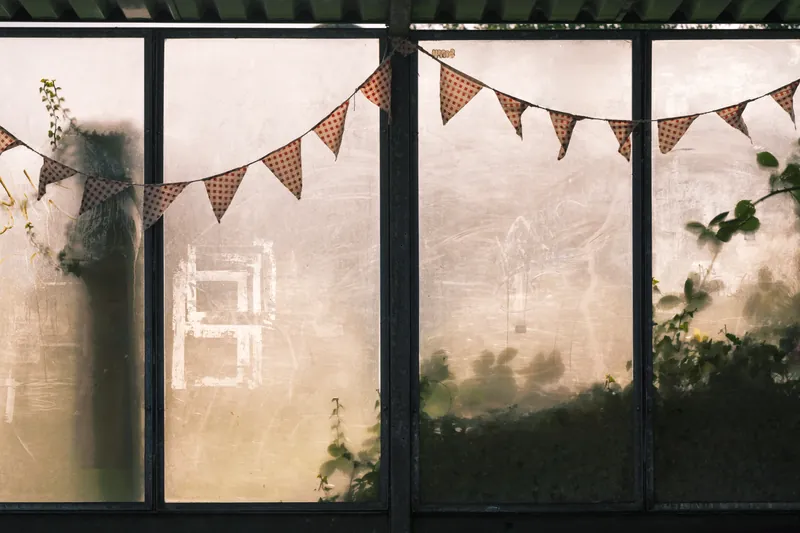 Bunting in the bardo, St. Ives. 2021.